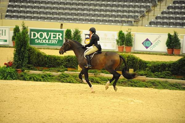 USHJA-Derby-8-20-10-DER_8520-QRnd1-Apparition-JordanSiegel-DDeRosaPhoto.jpg