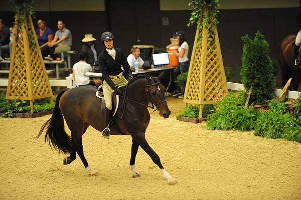 USHJA-Derby-8-20-10-DER_8525-QRnd1-Apparition-JordanSiegel-DDeRosaPhoto.jpg