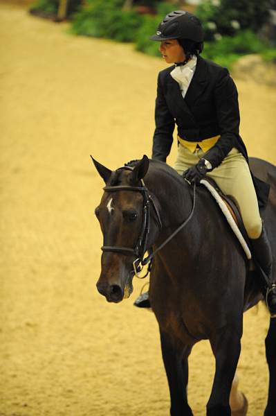 USHJA-Derby-8-20-10-DER_8526-QRnd1-Apparition-JordanSiegel-DDeRosaPhoto.jpg