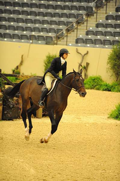 USHJA-Derby-8-20-10-DER_8531-QRnd1-Apparition-JordanSiegel-DDeRosaPhoto.jpg