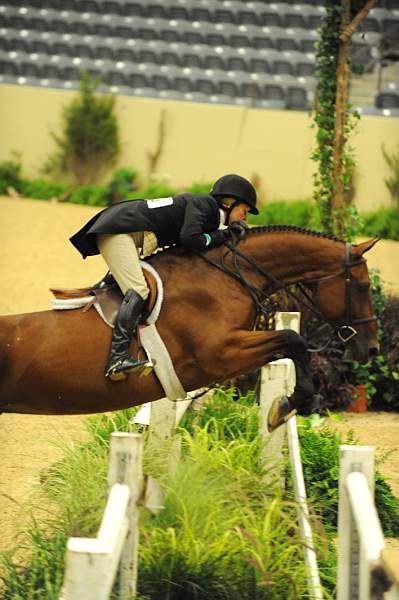 USHJA-Derby-8-20-10-DER_8541-QRnd1-Rosalynn-KelleyFarmer-DDeRosaPhoto.jpg