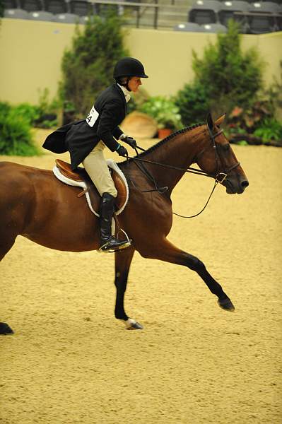 USHJA-Derby-8-20-10-DER_8542-QRnd1-Rosalynn-KelleyFarmer-DDeRosaPhoto.jpg