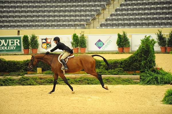 USHJA-Derby-8-20-10-DER_8547-QRnd1-Rosalynn-KelleyFarmer-DDeRosaPhoto.jpg