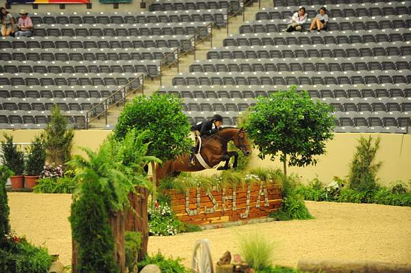 USHJA-Derby-8-20-10-DER_8549-QRnd1-Rosalynn-KelleyFarmer-DDeRosaPhoto.jpg