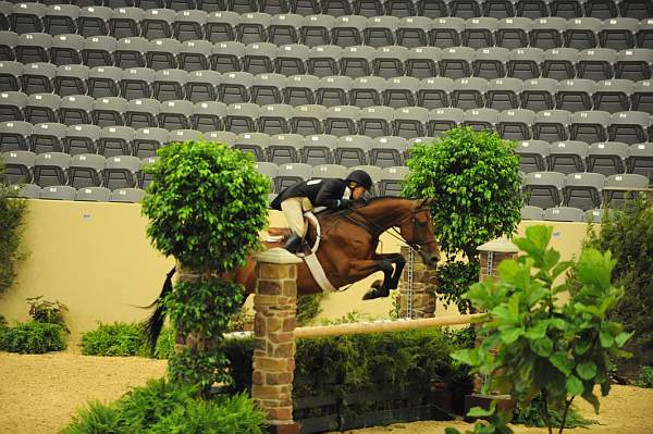 USHJA-Derby-8-20-10-DER_8550-QRnd1-Rosalynn-KelleyFarmer-DDeRosaPhoto.jpg