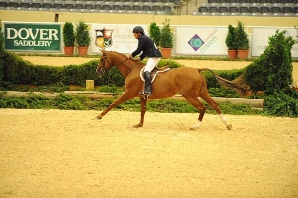 USHJA-Derby-8-20-10-DER_8572-QRnd1-Dubari-WillRoberts-DDeRosaPhoto.jpg