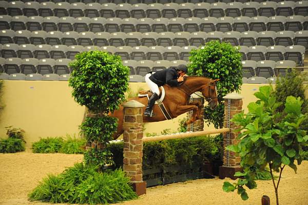 USHJA-Derby-8-20-10-DER_8576-QRnd1-Dubari-WillRoberts-DDeRosaPhoto.jpg