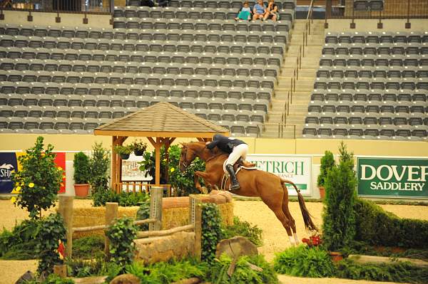 USHJA-Derby-8-20-10-DER_8586-QRnd1-Dubari-WillRoberts-DDeRosaPhoto.jpg