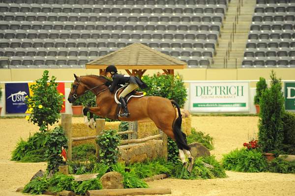 USHJA-Derby-8-20-10-DER_8603-QRnd1-Genuine-LillieKeenan-DDeRosaPhoto.jpg