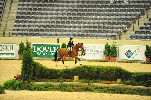 USHJA-Derby-8-20-10-DER_8605-QRnd1-Genuine-LillieKeenan-DDeRosaPhoto.jpg