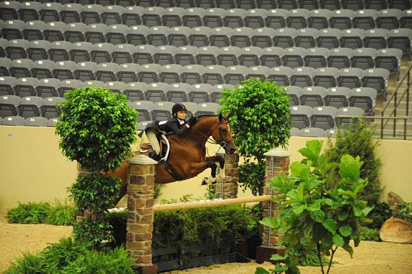 USHJA-Derby-8-20-10-DER_8607-QRnd1-Genuine-LillieKeenan-DDeRosaPhoto.jpg