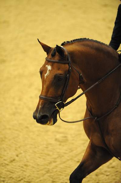 USHJA-Derby-8-20-10-DER_8609-QRnd1-Genuine-LillieKeenan-DDeRosaPhoto.jpg