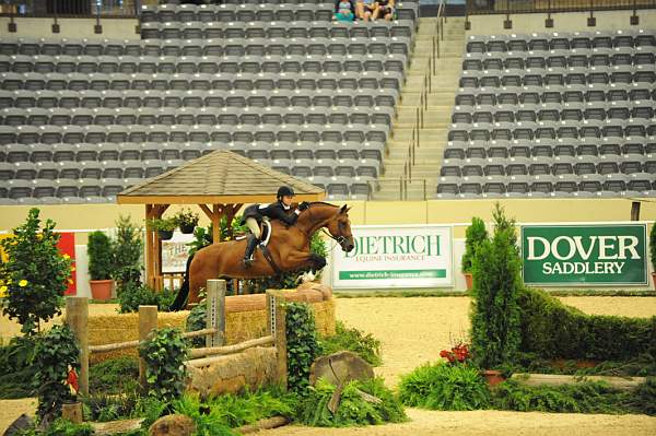 USHJA-Derby-8-20-10-DER_8610-QRnd1-Genuine-LillieKeenan-DDeRosaPhoto.jpg