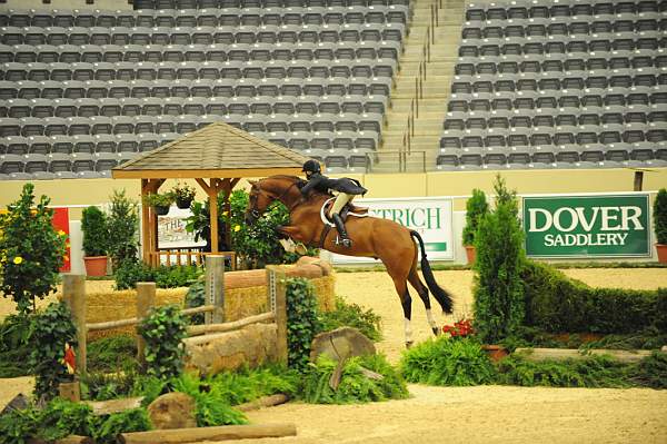 USHJA-Derby-8-20-10-DER_8613-QRnd1-Genuine-LillieKeenan-DDeRosaPhoto.jpg