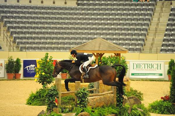 USHJA-Derby-8-20-10-DER_8632-QRnd1-CrownAffair-JohnFrench-DDeRosaPhoto.jpg