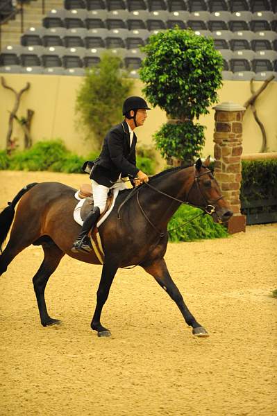 USHJA-Derby-8-20-10-DER_8643-QRnd1-CrownAffair-JohnFrench-DDeRosaPhoto.jpg