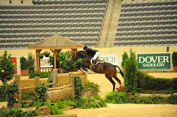 USHJA-Derby-8-20-10-DER_8645-QRnd1-CrownAffair-JohnFrench-DDeRosaPhoto.jpg