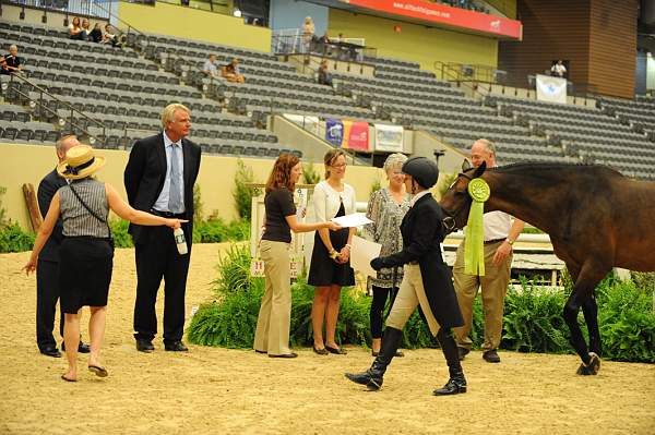 USHJA-Derby-8-20-10-DER_9099-QRnd1-RockStar-LouiseSerio-DDeRosaPhoto.jpg