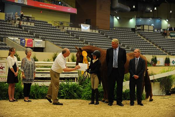 USHJA-Derby-8-20-10-DER_9155-QRnd1-Brunello-LizaBoyd-DDeRosaPhoto.jpg