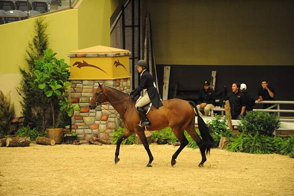 USHJA-Derby-8-21-10-CrseWk-Parade-DER_9419-DDeRosaPhoto.jpg