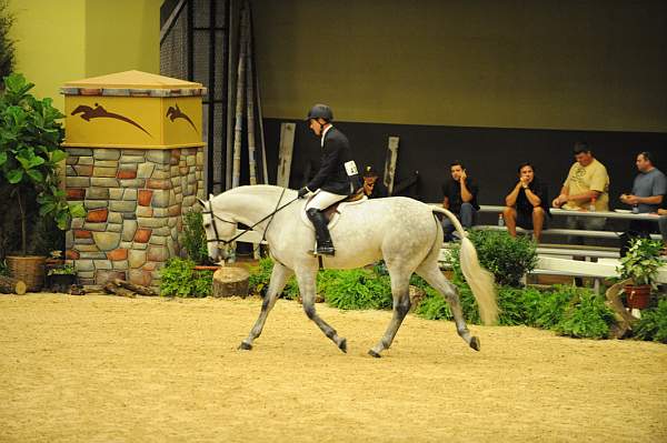 USHJA-Derby-8-21-10-CrseWk-Parade-DER_9459-DDeRosaPhoto.jpg