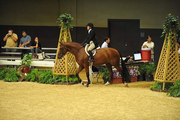 USHJA-Derby-8-21-10-CrseWk-Parade-DER_9468-DDeRosaPhoto.jpg