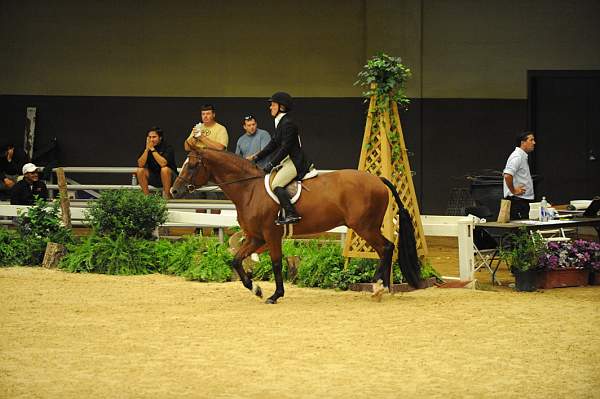 USHJA-Derby-8-21-10-CrseWk-Parade-DER_9469-DDeRosaPhoto.jpg