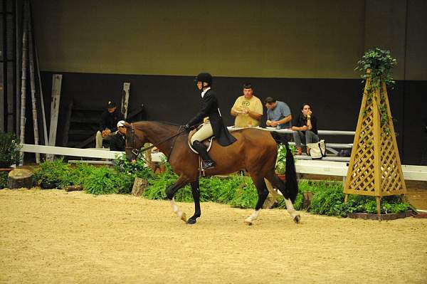 USHJA-Derby-8-21-10-CrseWk-Parade-DER_9486-DDeRosaPhoto.jpg