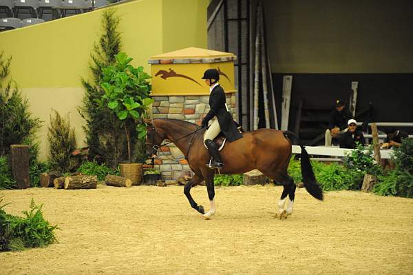 USHJA-Derby-8-21-10-CrseWk-Parade-DER_9487-DDeRosaPhoto.jpg