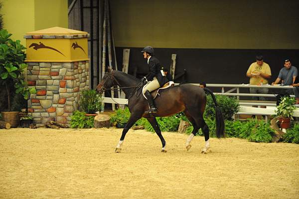 USHJA-Derby-8-21-10-CrseWk-Parade-DER_9493-DDeRosaPhoto.jpg