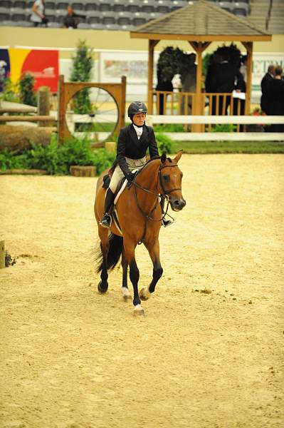 USHJA-Derby-8-21-10-CrseWk-Parade-DER_9509-DDeRosaPhoto.jpg