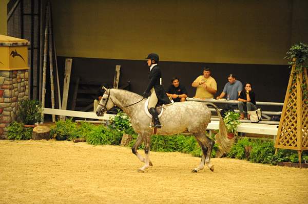 USHJA-Derby-8-21-10-CrseWk-Parade-DER_9515-DDeRosaPhoto.jpg