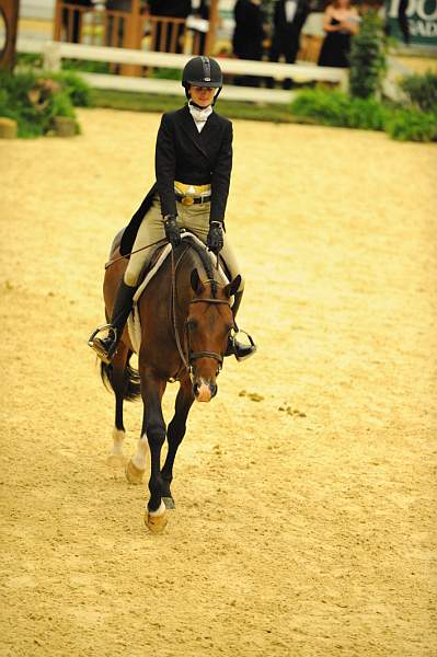 USHJA-Derby-8-21-10-CrseWk-Parade-DER_9516-DDeRosaPhoto.jpg