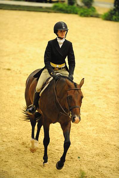 USHJA-Derby-8-21-10-CrseWk-Parade-DER_9517-DDeRosaPhoto.jpg