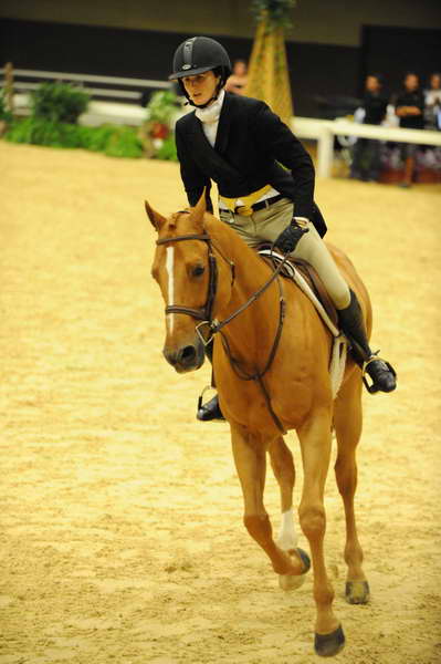 USHJA-Derby-8-21-10-Rnd2-DER1_9599-Sander-MaggieJayne-DDeRosaPhoto.JPG