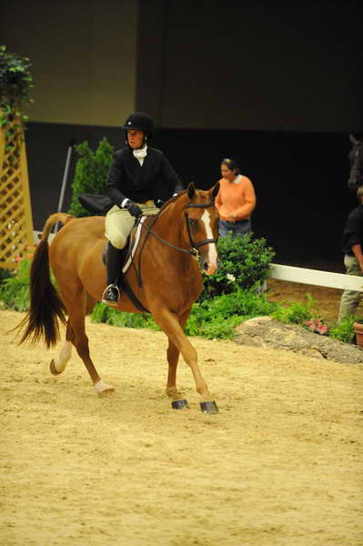 USHJA-Derby-8-21-10-Rnd2-DER1_9604-JerseyBoy-JenniferAlfano-DDeRosaPhoto.JPG