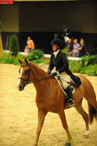 USHJA-Derby-8-21-10-Rnd2-DER1_9610-JerseyBoy-JenniferAlfano-DDeRosaPhoto.JPG