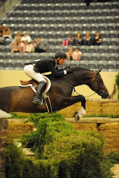 USHJA-Derby-8-21-10-Rnd2-DER1_9628-Declaration-ScottStewart-DDeRosaPhoto.JPG