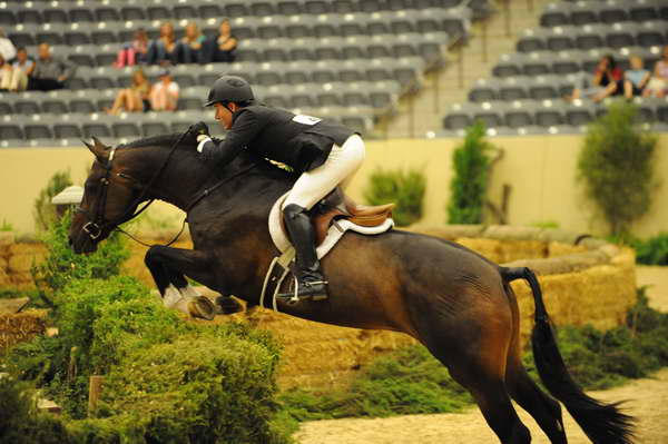 USHJA-Derby-8-21-10-Rnd2-DER1_9632-Declaration-ScottStewart-DDeRosaPhoto.JPG