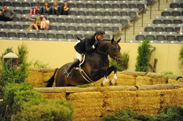 USHJA-Derby-8-21-10-Rnd2-DER1_9635-Declaration-ScottStewart-DDeRosaPhoto.JPG