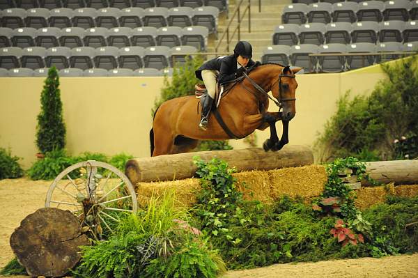 USHJA-Derby-8-21-10-Rnd2-DER1_9680-Borealus-KatieDinan-DDeRosaPhoto.JPG