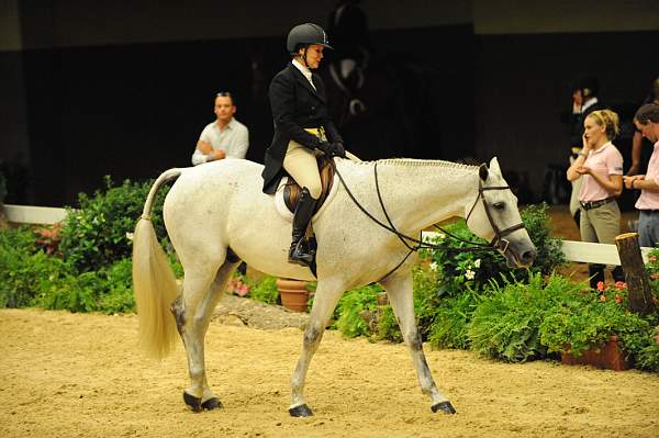 USHJA-Derby-8-21-10-Rnd2-DER1_9706-LouiseSerio-CastleRock-DDeRosaPhoto.JPG