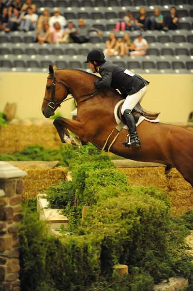 USHJA-Derby-8-21-10-Rnd2-DER1_9717-NLFShakespeare-PeterPletcher-DDeRosaPhoto.JPG