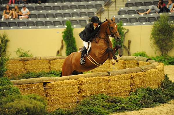 USHJA-Derby-8-21-10-Rnd2-DER1_9719-NLFShakespeare-PeterPletcher-DDeRosaPhoto.JPG