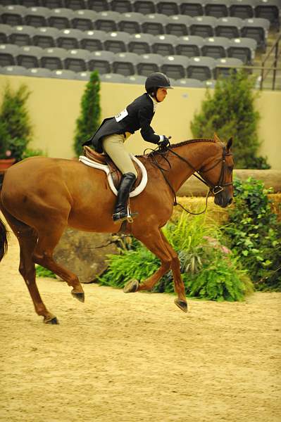 USHJA-Derby-8-21-10-Rnd2-DER1_9736-Brunello-ElizabethBoyd-DDeRosaPhoto.JPG