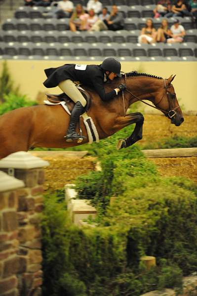 USHJA-Derby-8-21-10-Rnd2-DER1_9753-EarlyApplause-MaggieJayne-DDeRosaPhoto.JPG