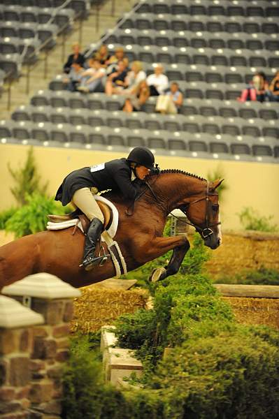 USHJA-Derby-8-21-10-Rnd2-DER1_9853-Taken-KelleyFarmer-DDeRosaPhoto.JPG