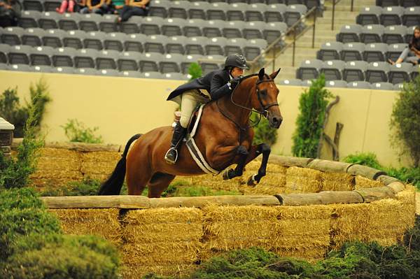 USHJA-Derby-8-21-10-Rnd2-DER1_9877-Poetic-MaggieBoylan-DDeRosaPhoto.JPG