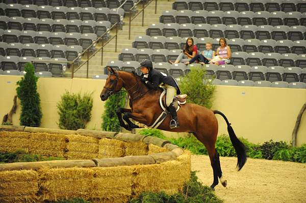 USHJA-Derby-8-21-10-Rnd2-DER1_9878-Poetic-MaggieBoylan-DDeRosaPhoto.JPG