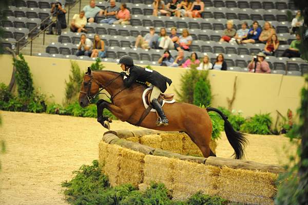 USHJA-Derby-8-21-10-Rnd2-DER1_9895-Castello-ElizabethBoyd-DDeRosaPhoto.JPG